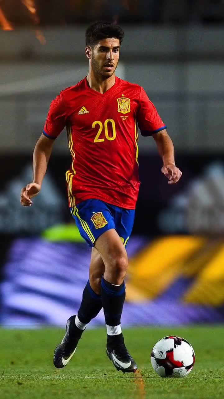 体系到市场 体系到市场